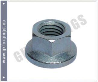 1000052012-removebg-preview Hot Forging Nut