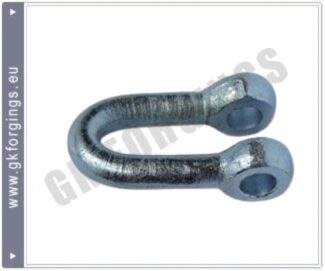 1000052109-removebg-preview D Shackle Hooks